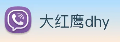 大红鹰dhy Logo
